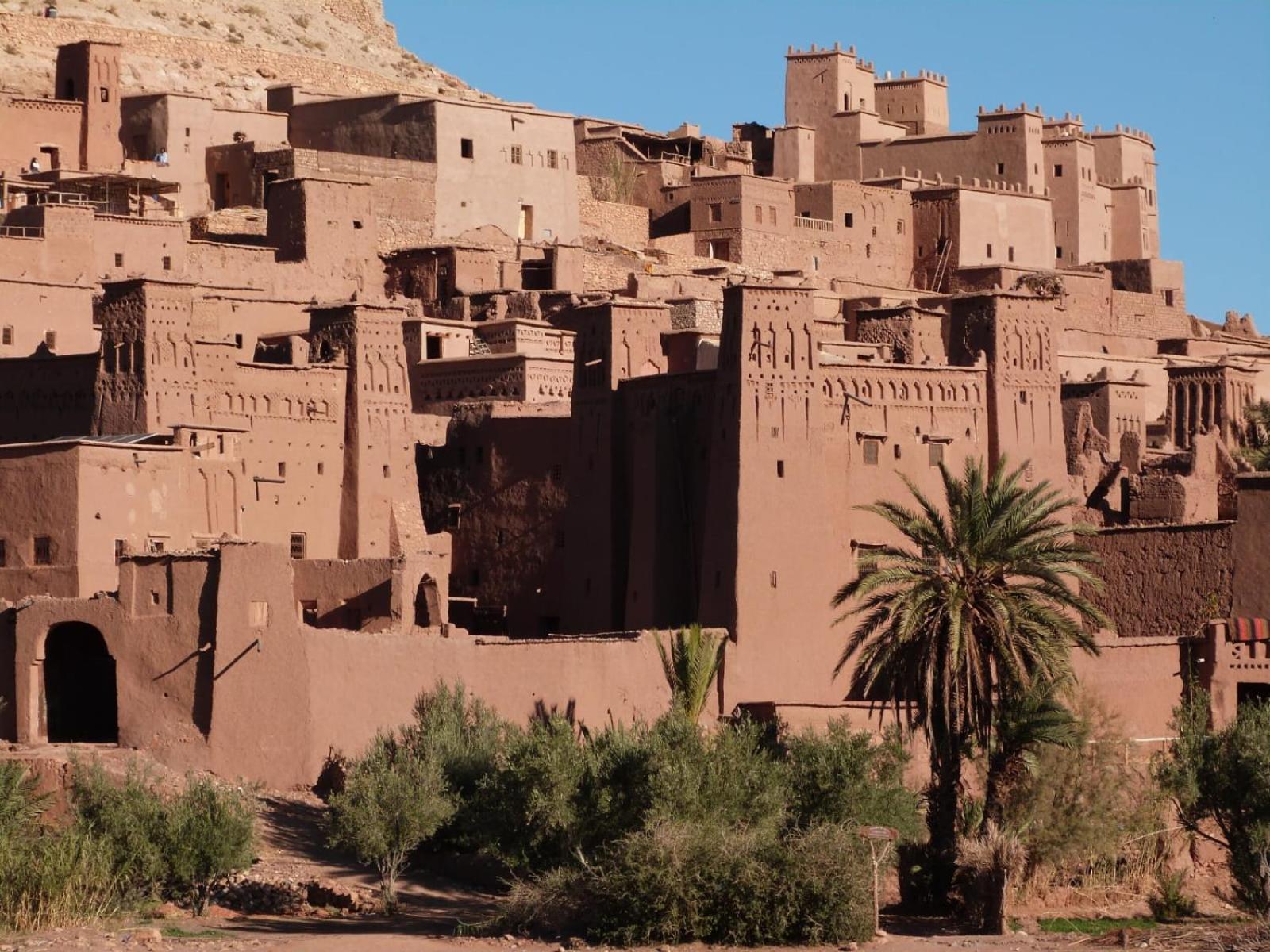 Kasbah Elmehdaoui Bed and Breakfast Skoura Eksteriør billede